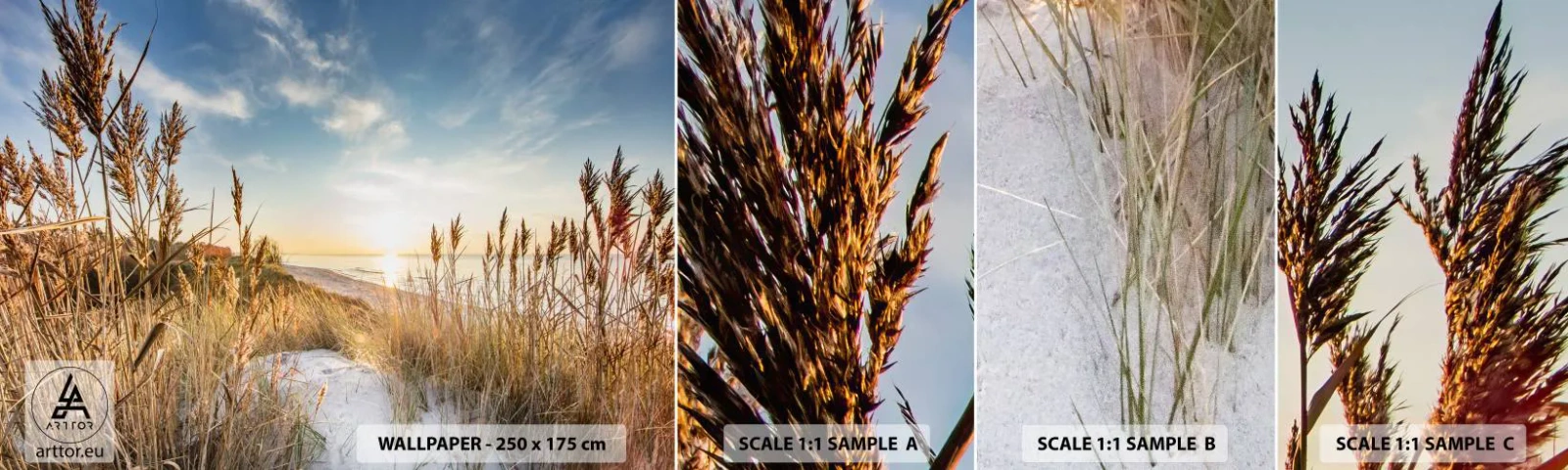 Fototapet Prov Standard Eco - Nordlig strand - Landskap, Hav, Strand - 100x30 cm