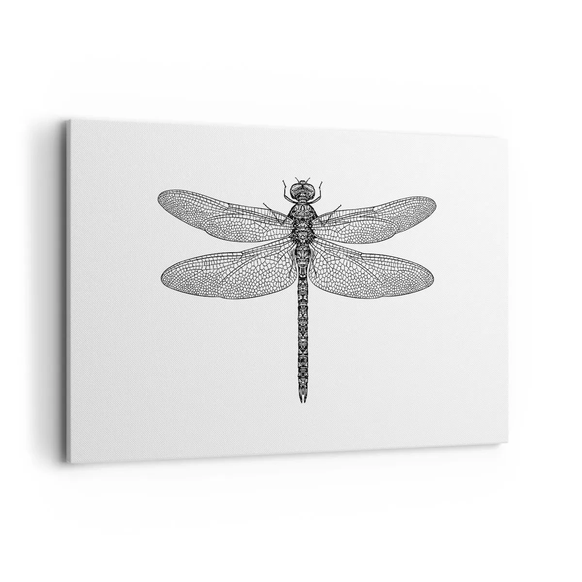 Canvastavla - Bild på duk - Precision i naturen - 120x80 cm