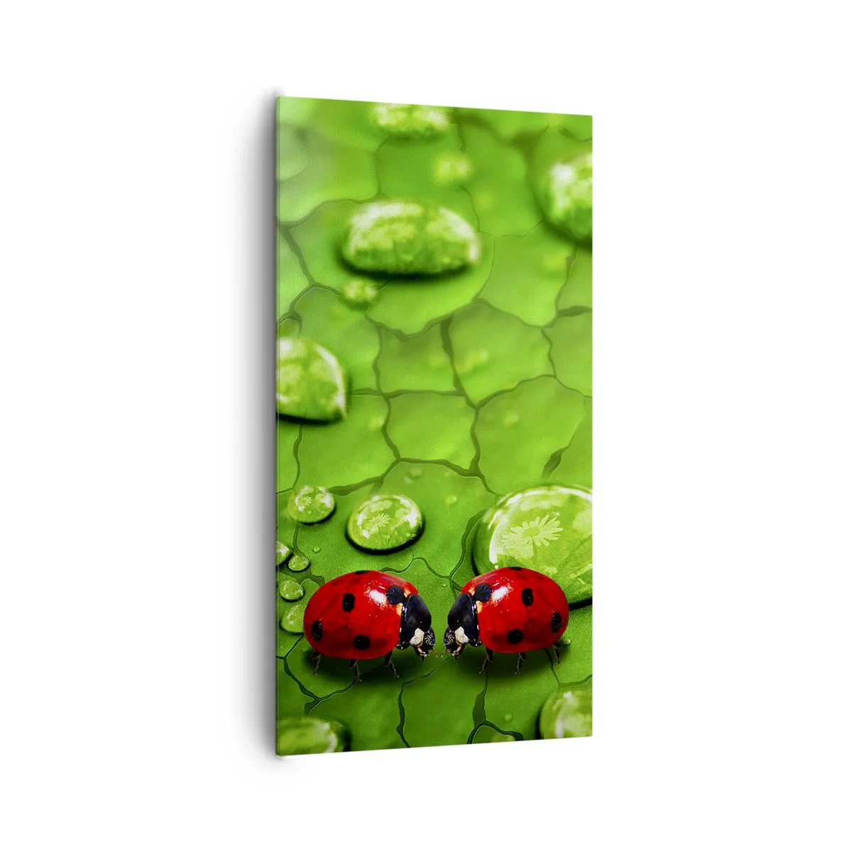 Canvastavla - Bild på duk - Ett möte i det gröna - 65x120 cm