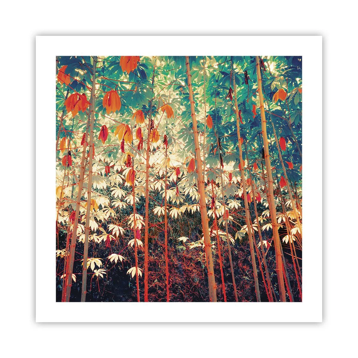 Affisch - Lövbladens hemlighetsfulla liv - 50x50 cm