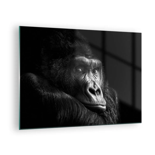 Glastavla - Bild på glas - Svartvitt porträtt av en gorilla i skuggan av ett fönster - 70x50cm - Varför glor du? - Modern väggdekoration för vardagsrum och sovrum ARTTOR