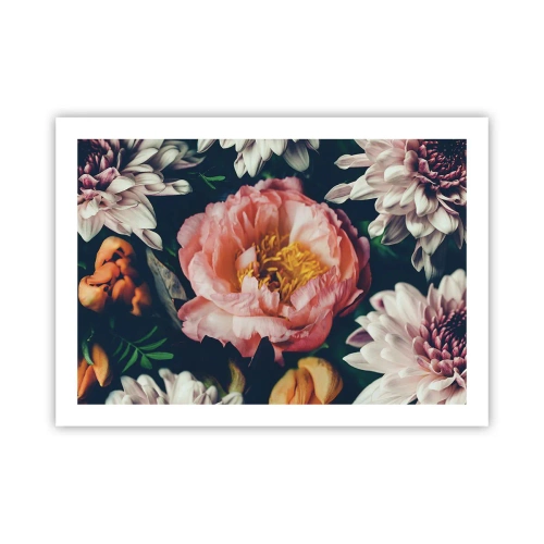 Affisch - Med barockprakt - 70x50 cm