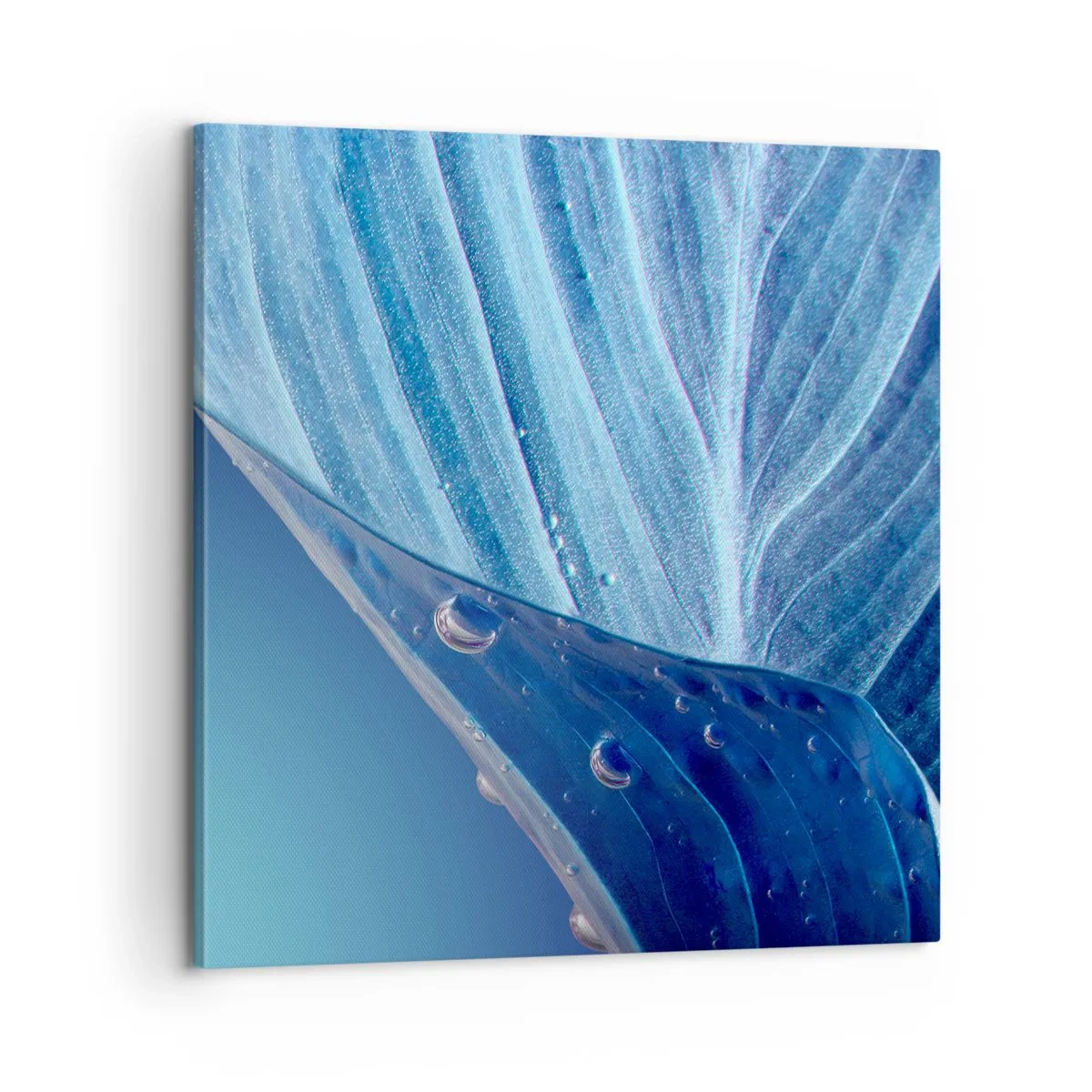 Canvastavla - Bild på duk - Dolda droppar av blått - 60x60 cm