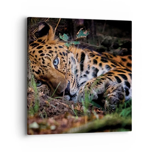 Canvastavla - Bild på duk - Tro mig - 40x40 cm