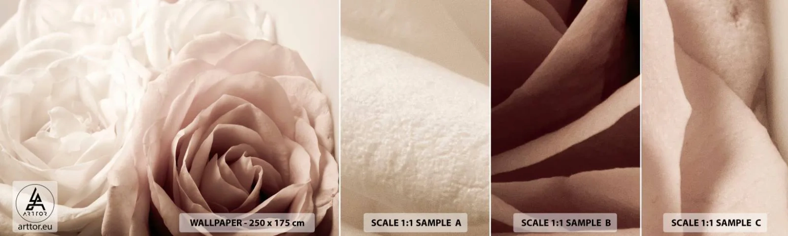 Fototapet Prov Standard Eco - I hjärtat av en ros - Rosor, Blommor, Romantisk - 100x30 cm