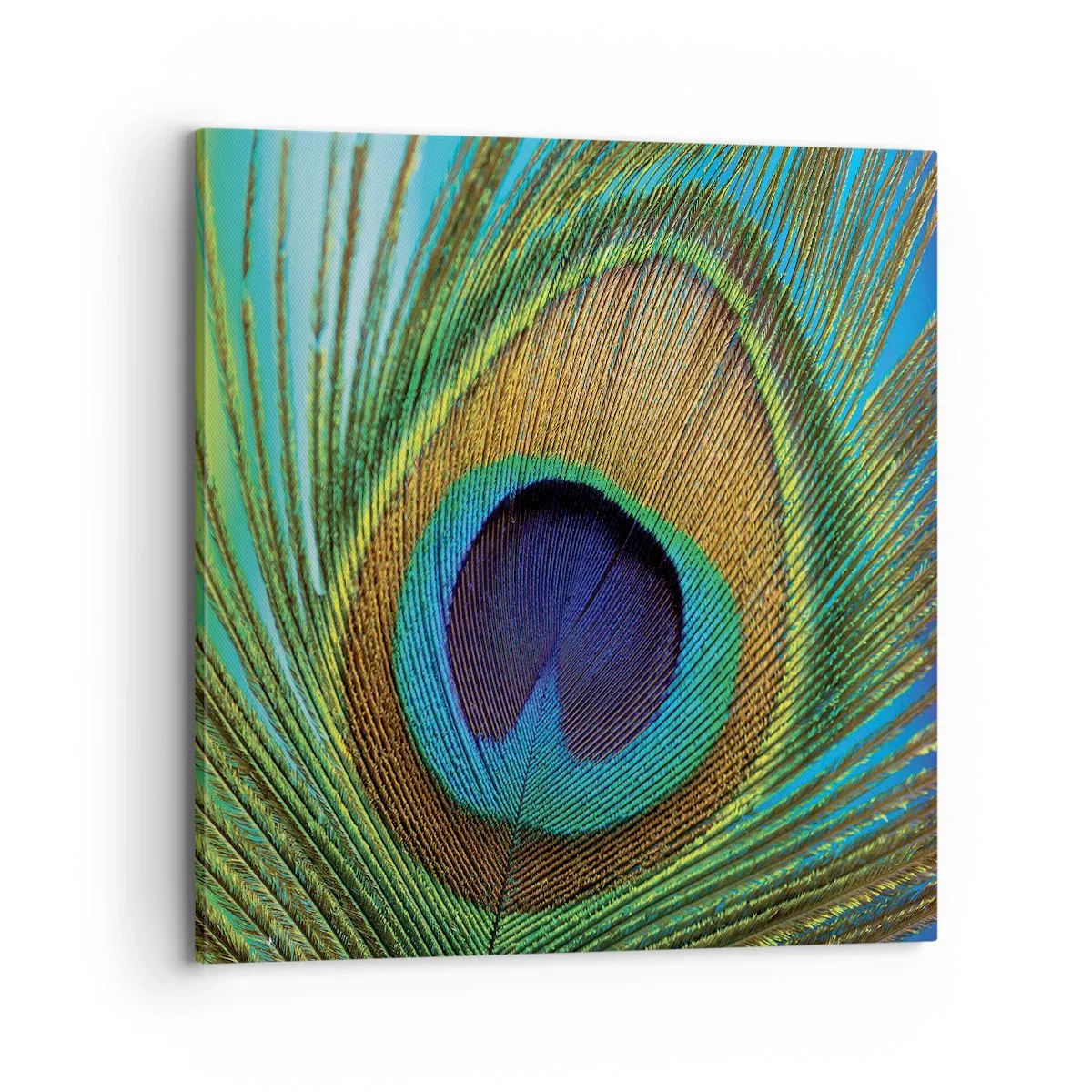 Canvastavla - Bild på duk - Öga mot öga - 70x70 cm