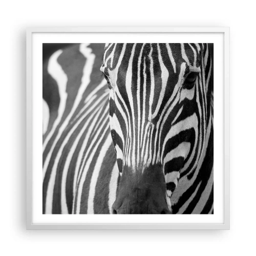 Affisch i vit ram - Världen är svart-vit - 60x60 cm