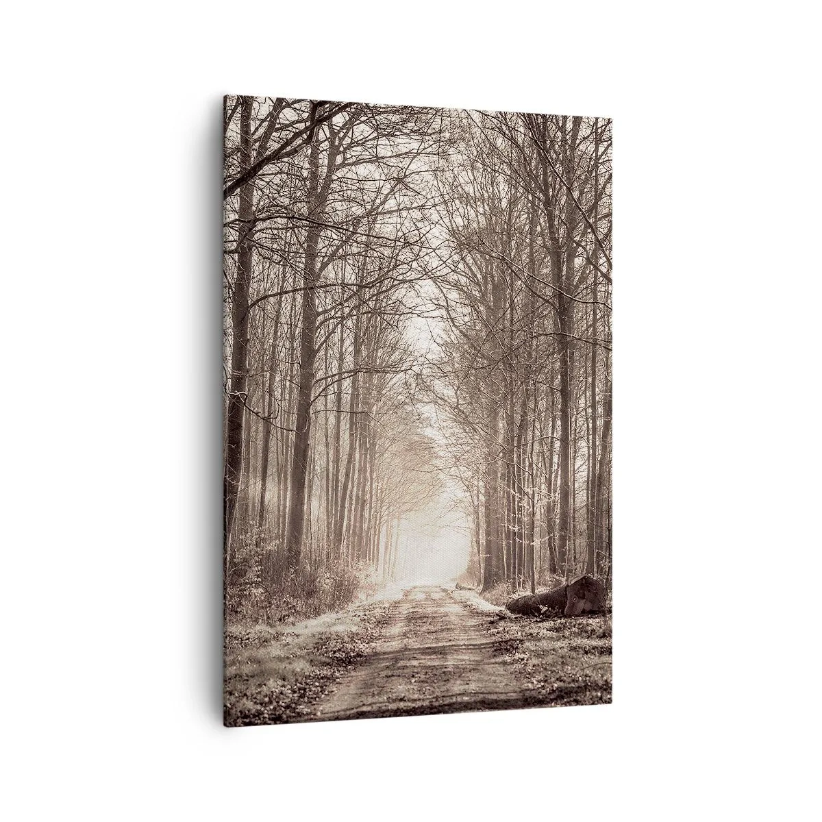 Canvastavla - Bild på duk - Skogens domkyrka - 70x100 cm