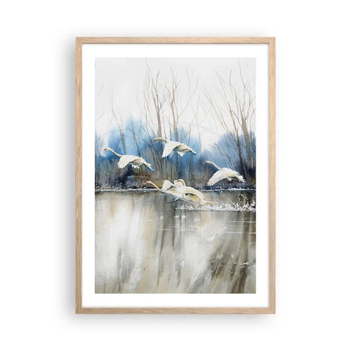 Affisch i ram av ljusek - Som i en saga om vilda svanar - 50x70 cm