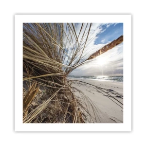 Affisch - Elementens möte - 50x50 cm