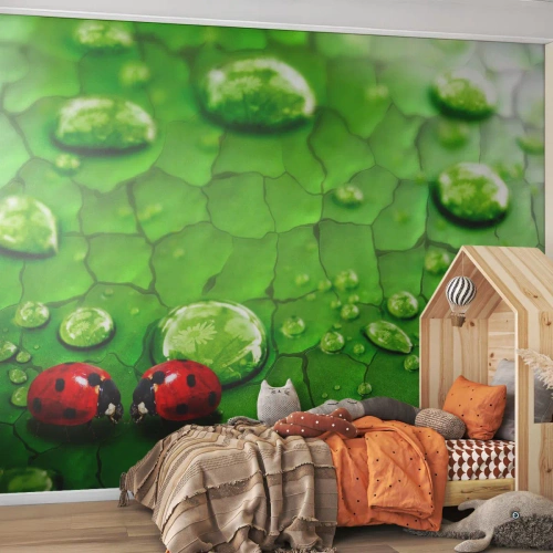 Självhäftande Fototapet Deluxe Sticker - Ett möte i det gröna - Natur, Nyckelpiga, En droppe vatten - 500x350 cm