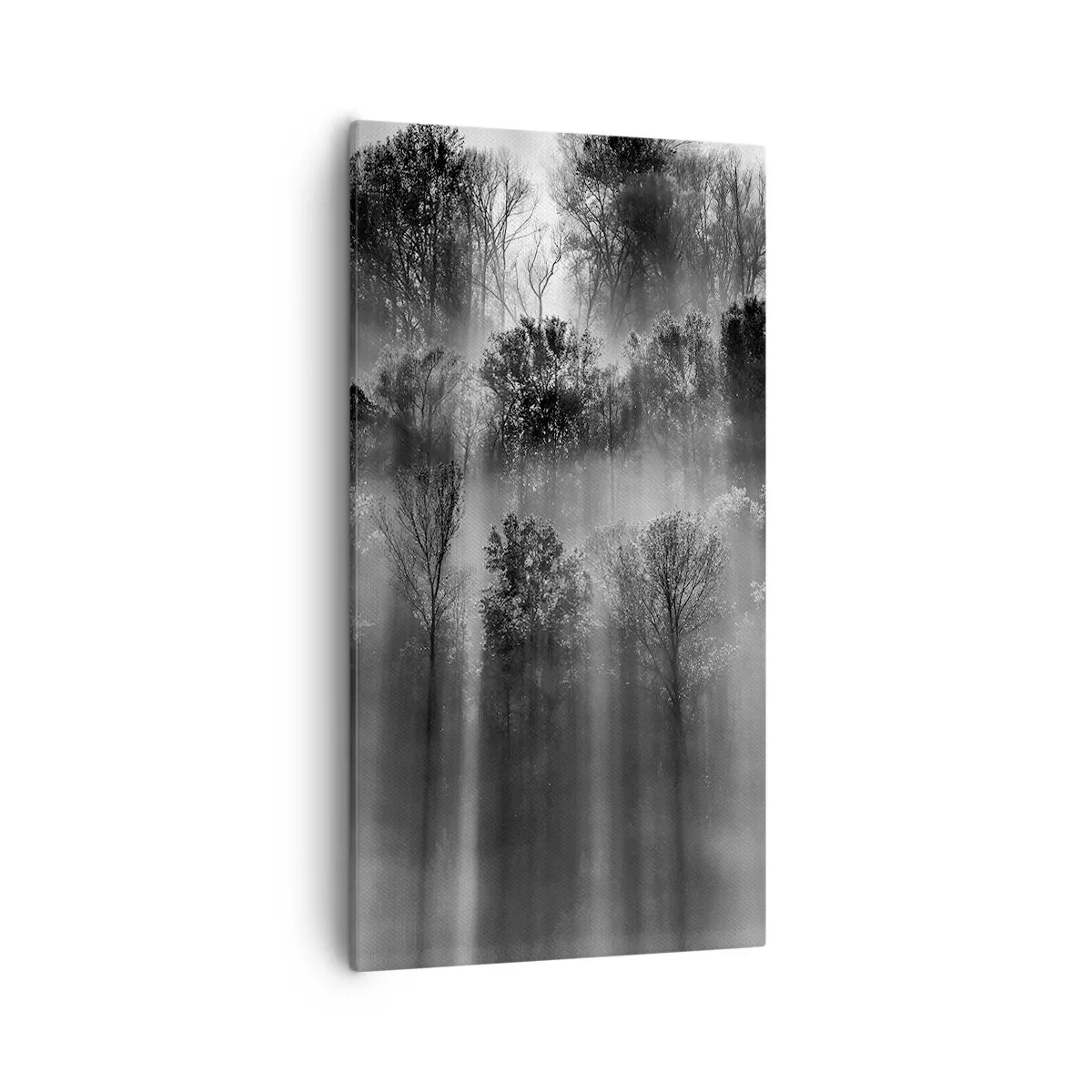 Canvastavla - Bild på duk - I ljusstrålar - 55x100 cm