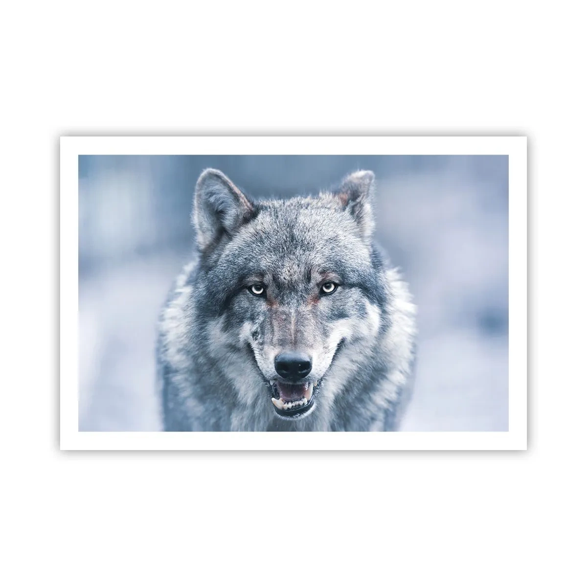 Affisch - Tar du utmaningen? - 91x61 cm