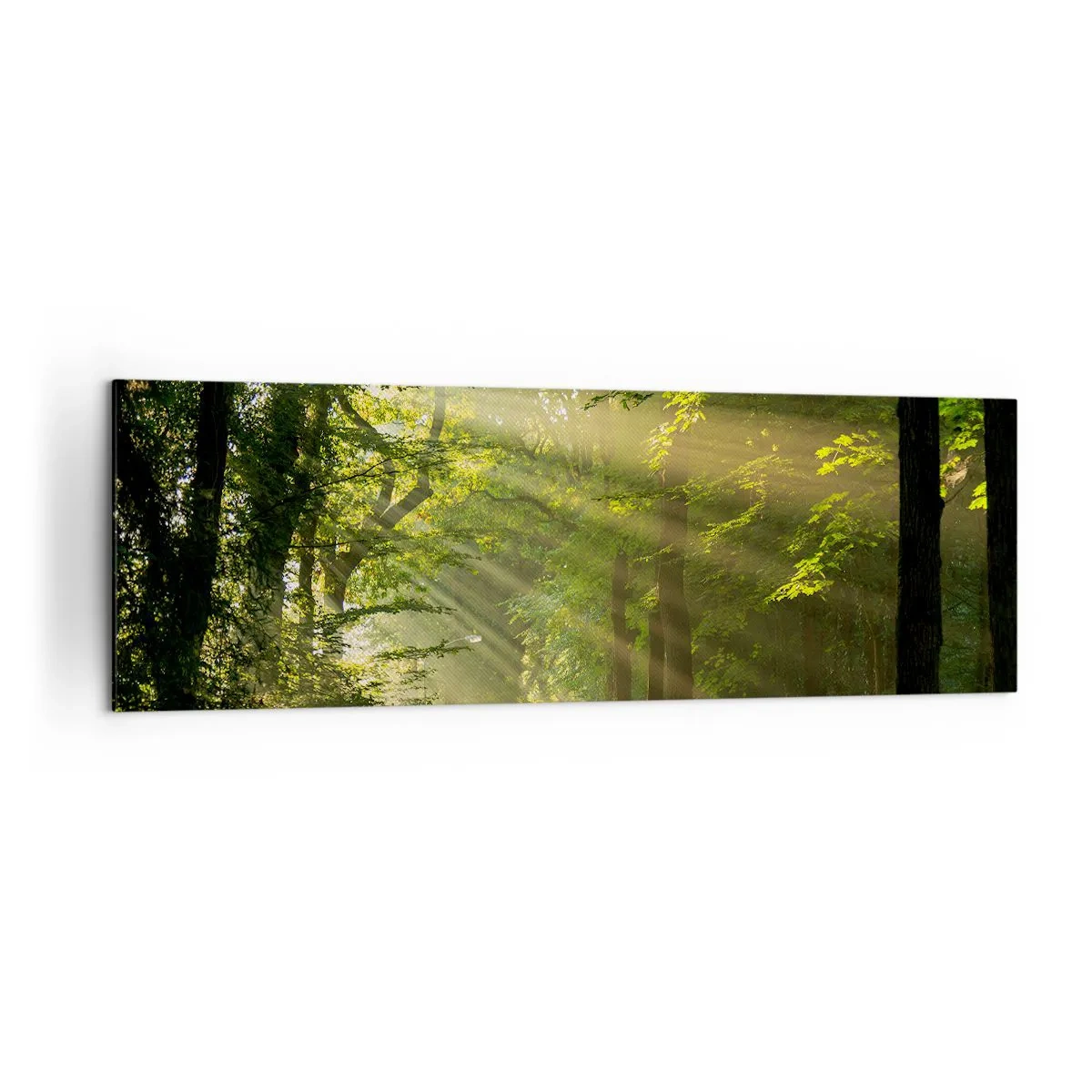 Canvastavla - Bild på duk - En stund i skogen - 160x50 cm