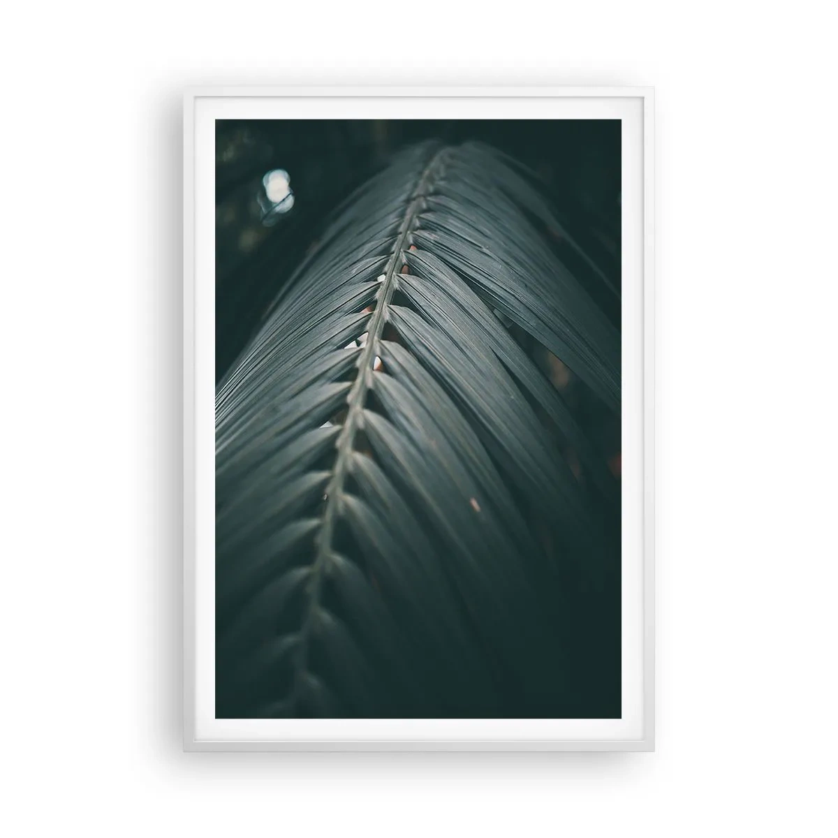 Affisch i vit ram - Naturens precision - 70x100 cm