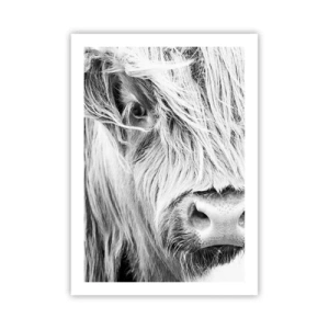 Affisch - Skotsk vildhet - 50x70 cm