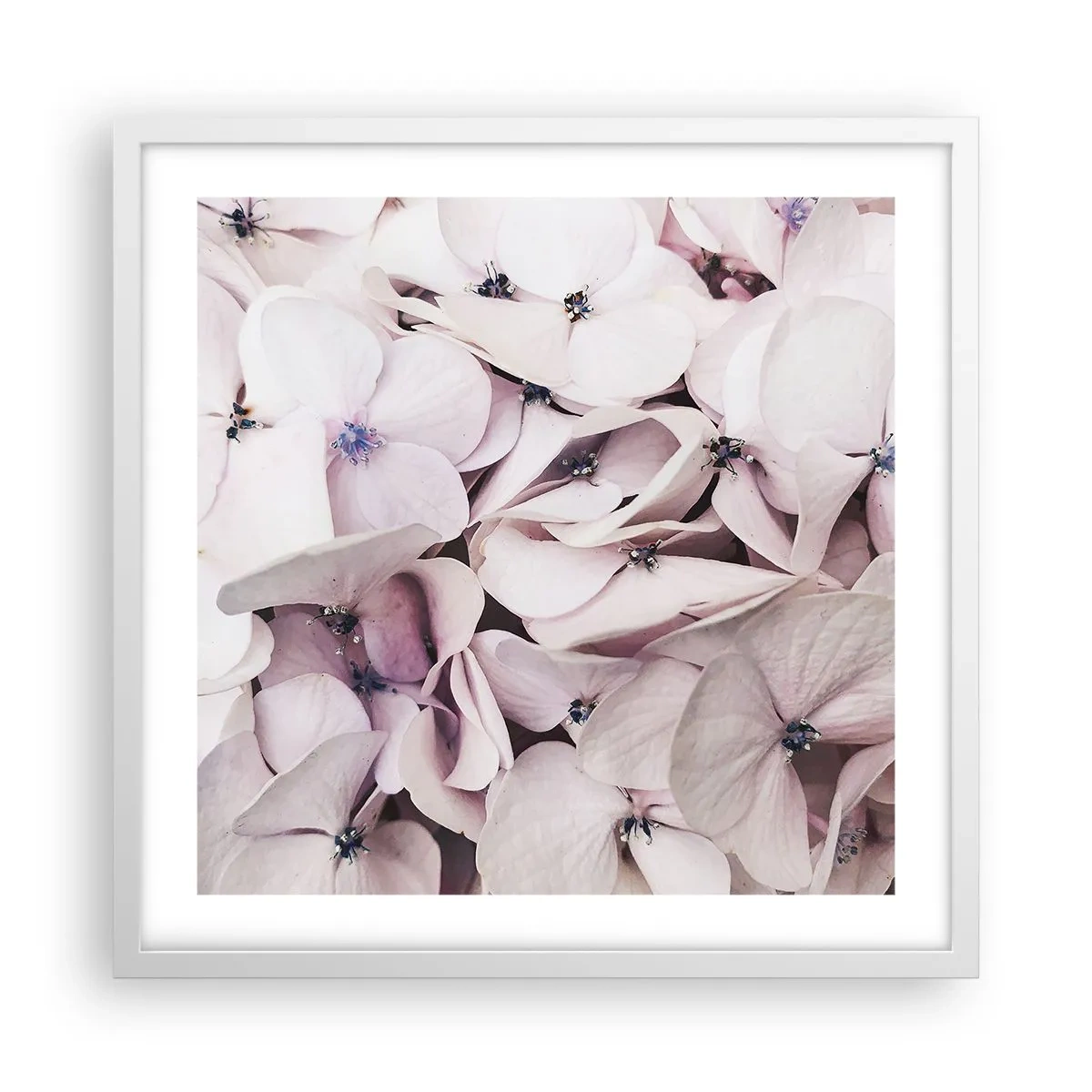 Affisch i vit ram - I en flod av blommor - 50x50 cm