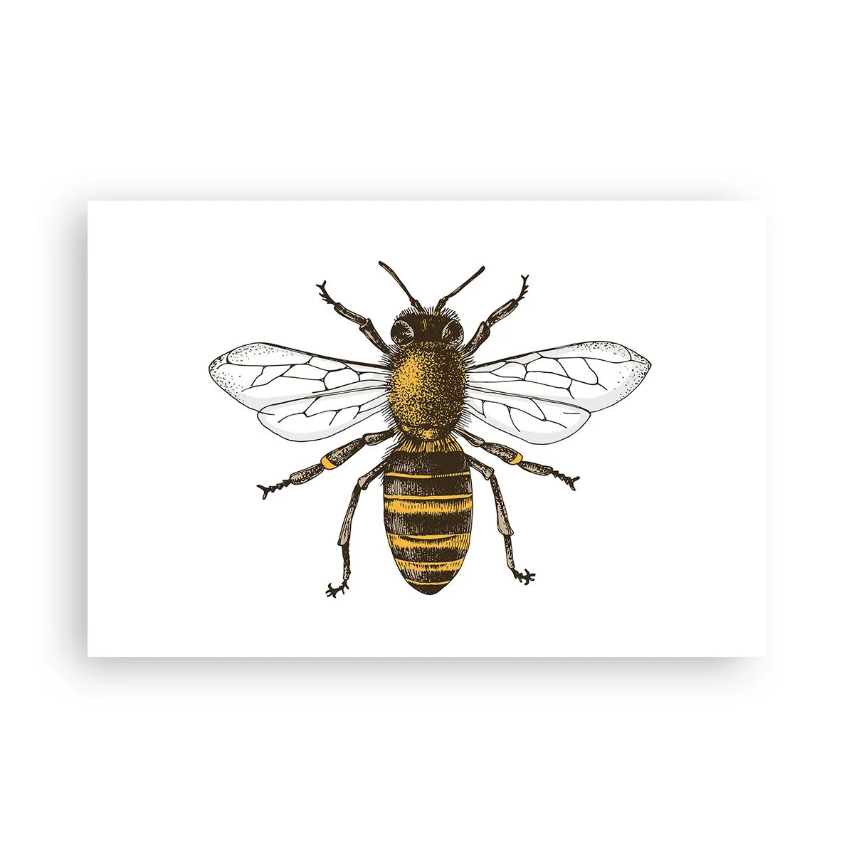 Affisch - Vackert och bra - 91x61 cm