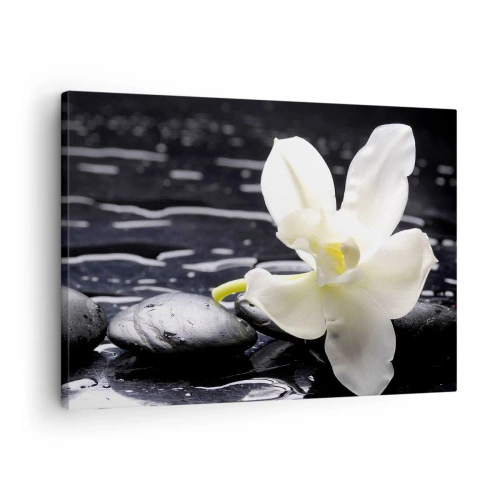 Canvastavla - Bild på duk - En vit orkidé mot en bakgrund av svarta stenar och vatten. - 70x50cm - Ett studie i svart och vit - Modern väggdekoration för vardagsrum och sovrum ARTTOR