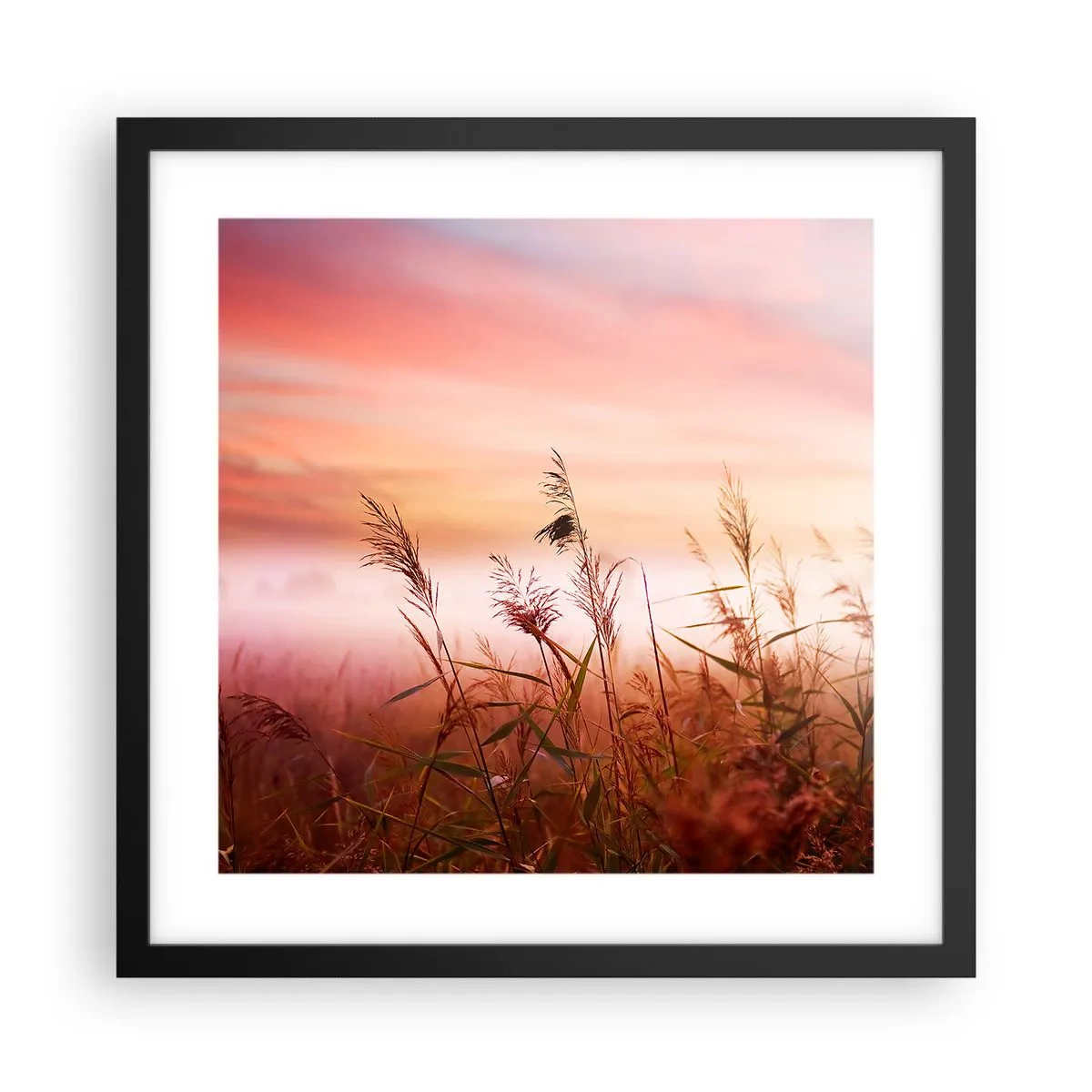 Affisch i svart ram - Drakar, maskrosor, vind - 40x40 cm