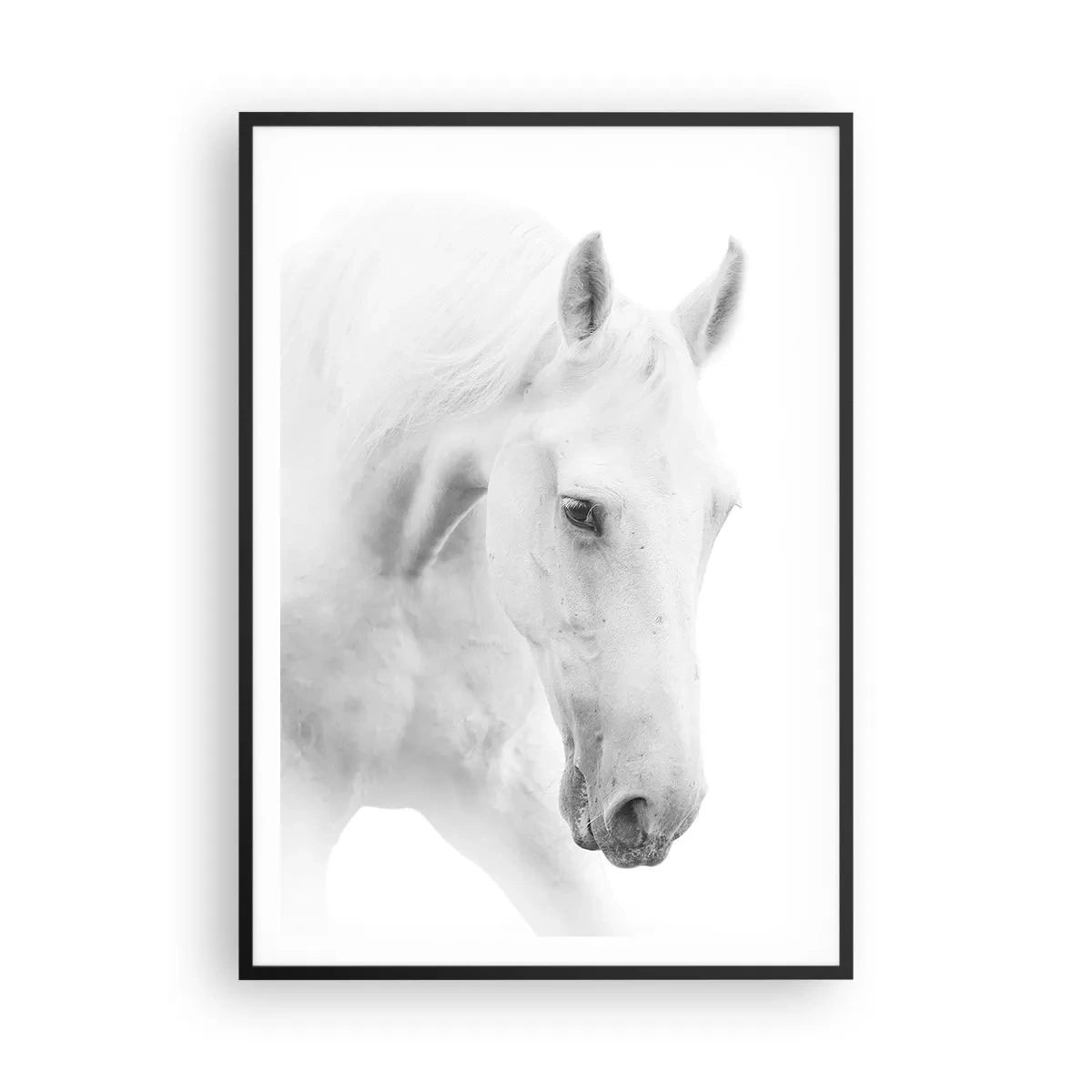Affisch i svart ram - Är det vänskap…? - 70x100 cm