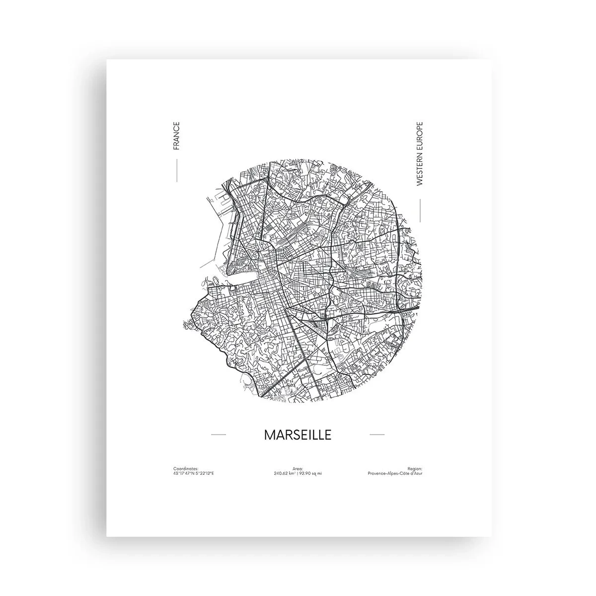 Affisch - Marseilles anatomi - 40x50 cm