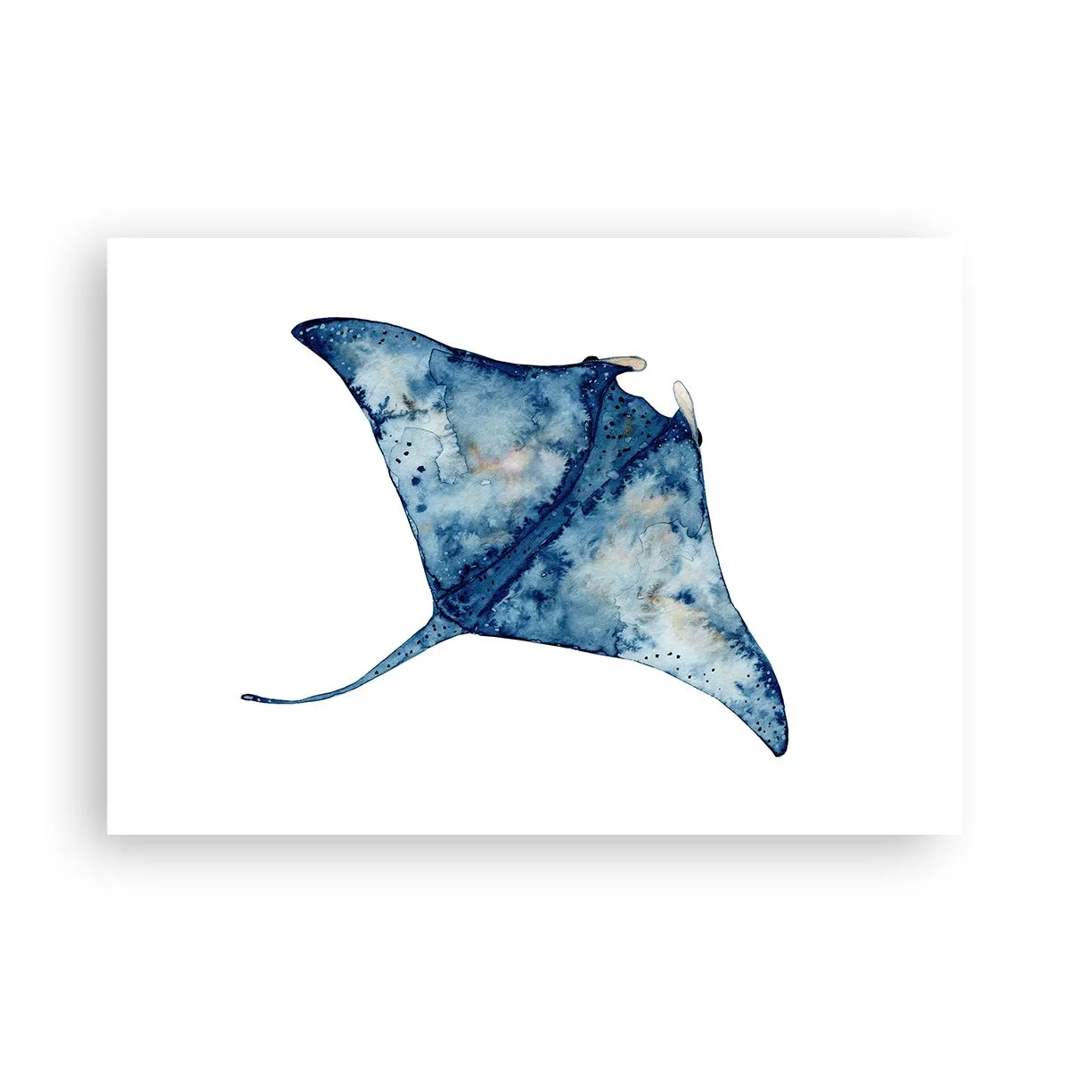 Affisch - Liv i blått - 100x70 cm