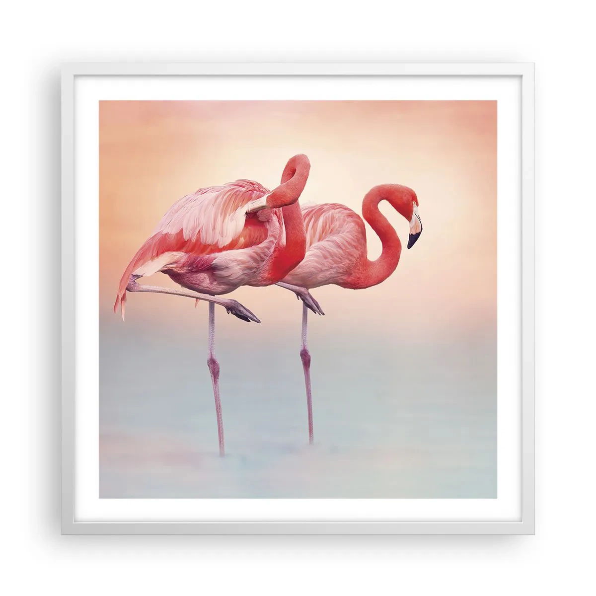 Affisch i vit ram - I solnedgångens färg - 60x60 cm