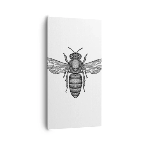 Canvastavla - Bild på duk - Porträtt av en insekt - 65x120 cm