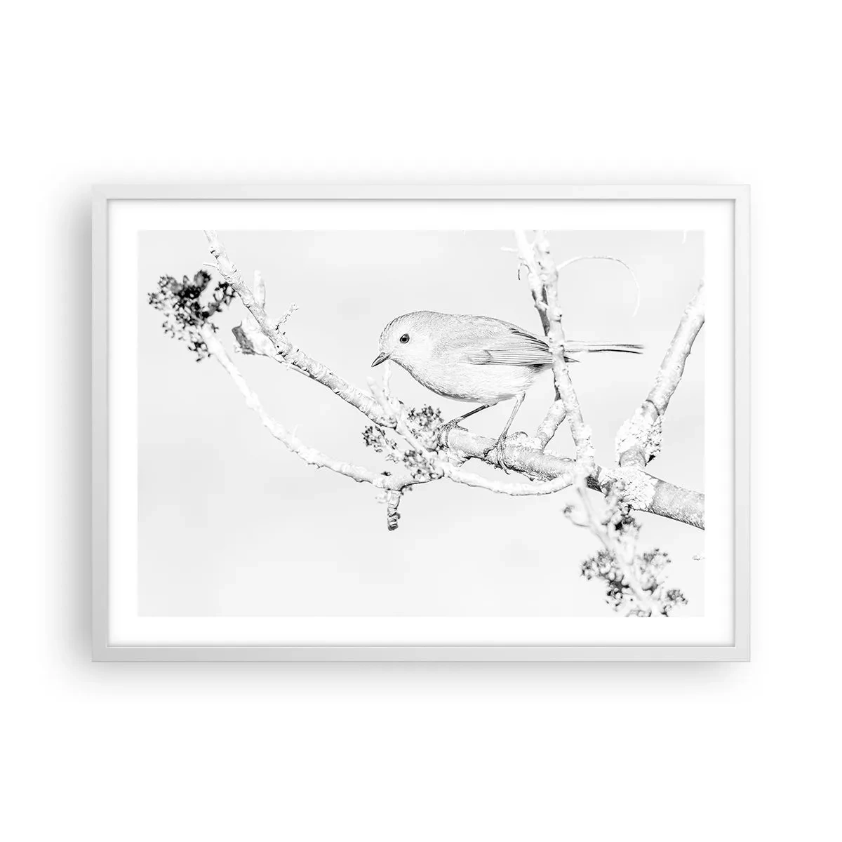 Affisch i vit ram - Vintermorgon - 70x50 cm