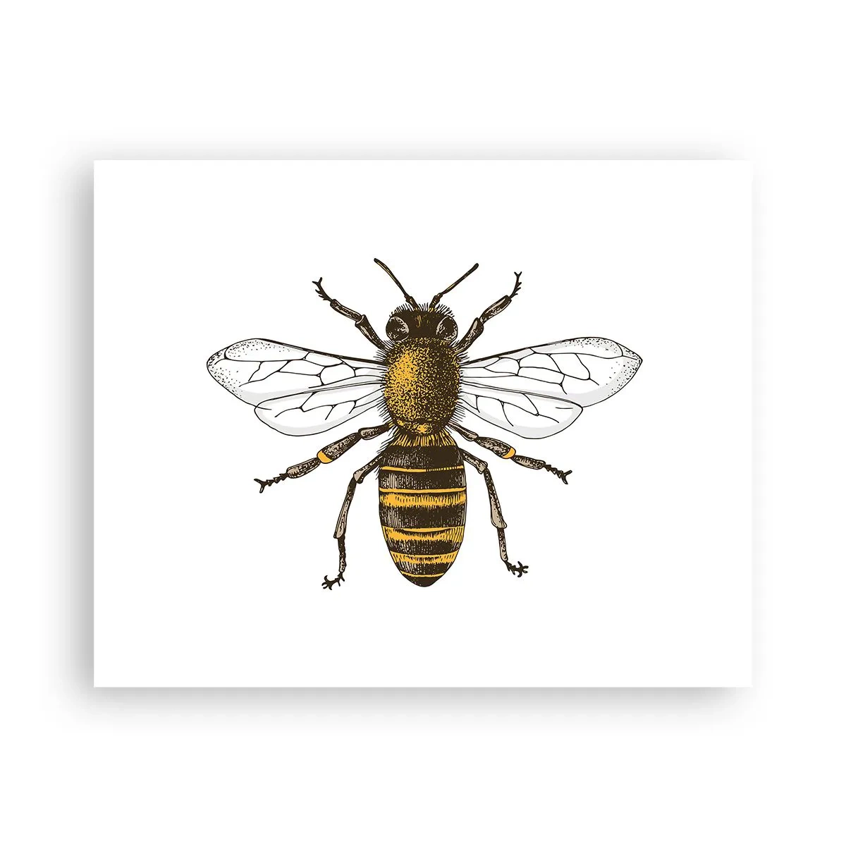 Affisch - Vackert och bra - 50x40 cm