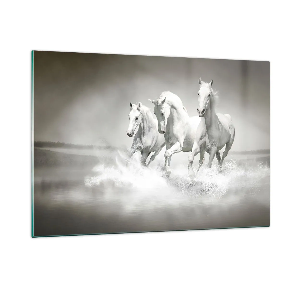 Glastavla - Bild på glas - Vit vildhet - 120x80 cm