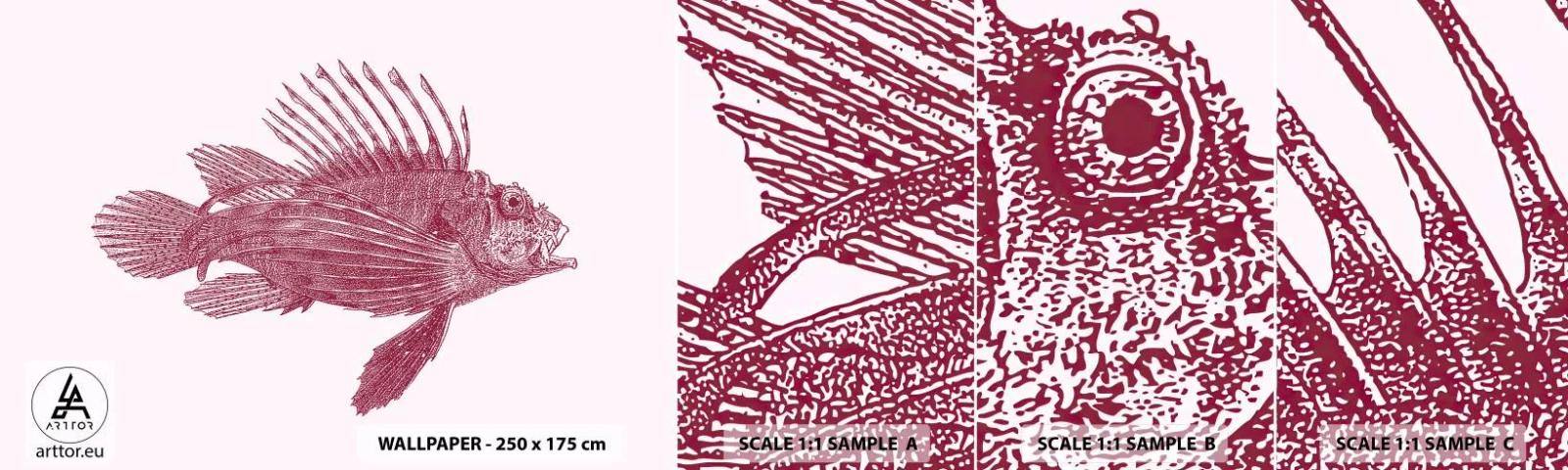 Provbit av självhäftande fototapet Deluxe Sticker - En invånare i exotiska vatten - Fisk, Lejonfisk, Tropisk - 100x30 cm