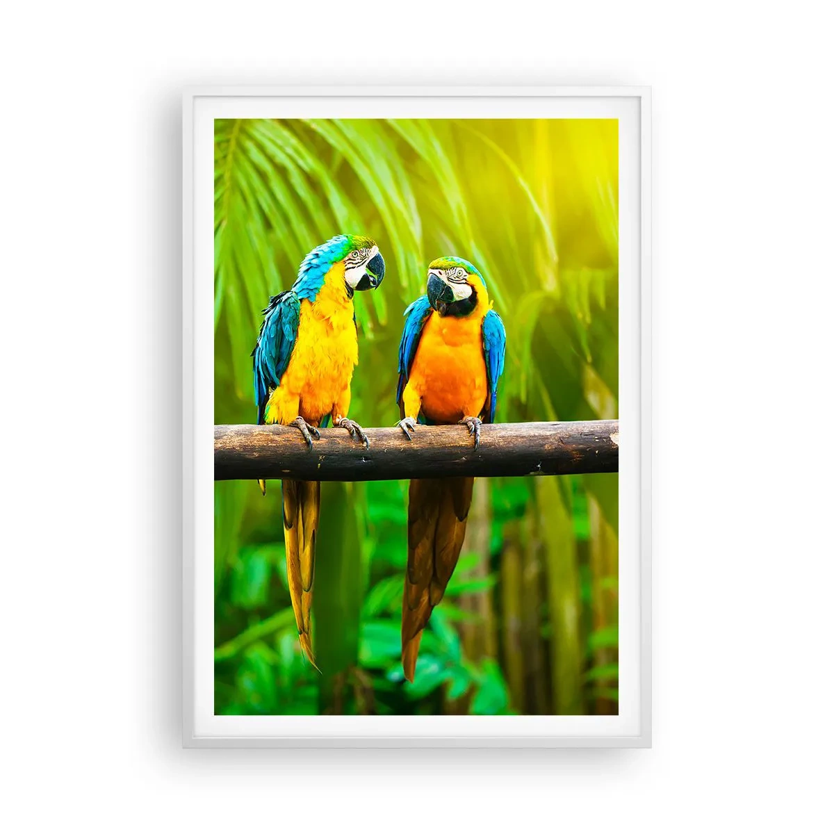 Affisch i vit ram - Har du hört att hon...? - 70x100 cm