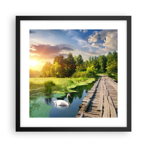 Affisch i svart ram - Sommar, sommar överallt - 40x40 cm