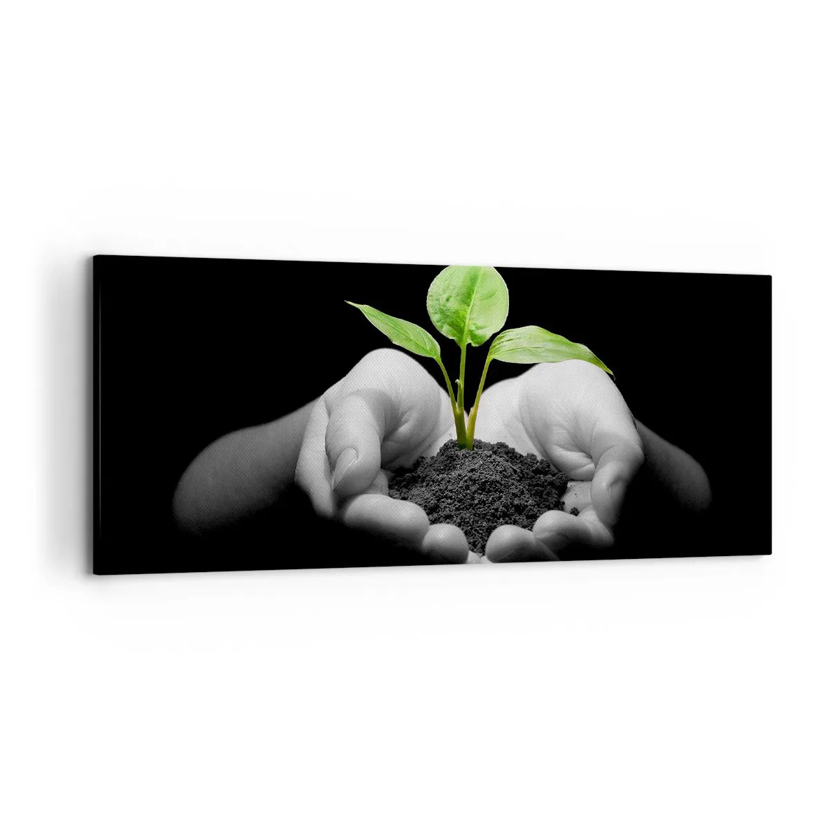 Canvastavla - Bild på duk - Jag älskar naturen och skyddar den - 120x50 cm