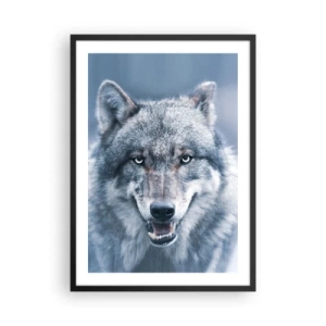 Affisch i svart ram - Porträtt av en varg mot ett vinterlandskap - 50x70cm - Tar du utmaningen? - Modern väggdekoration för vardagsrum och sovrum ARTTOR