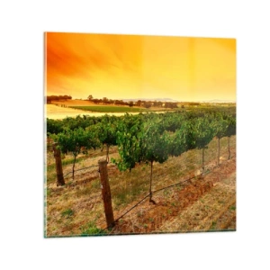 Glastavla - Bild på glas - Dricka solen - 40x40 cm