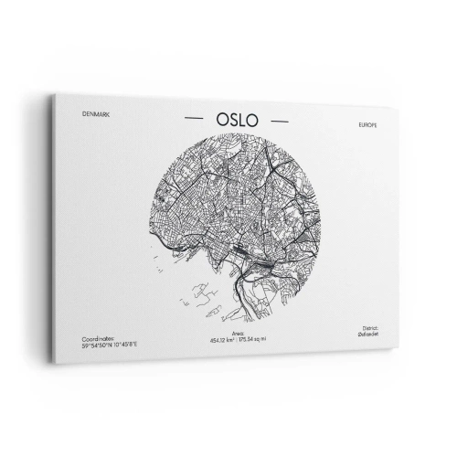 Canvastavla - Bild på duk - Oslos anatomi - 120x80 cm