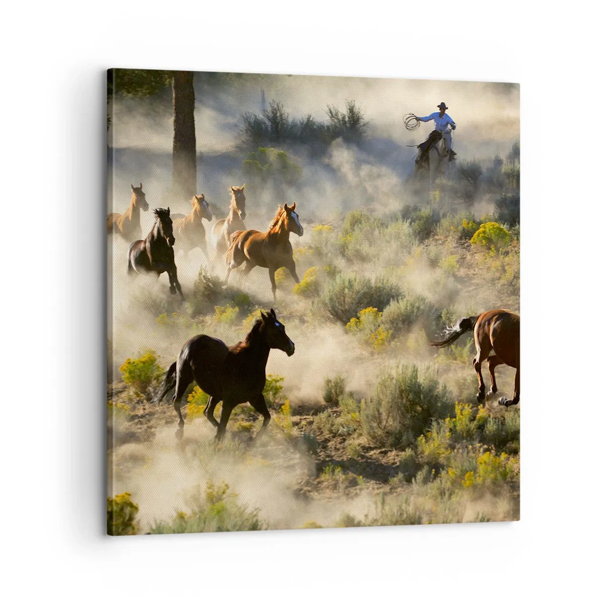 Canvastavla - Bild på duk - Tävlande - frihet eller manlig styrka? - 60x60 cm