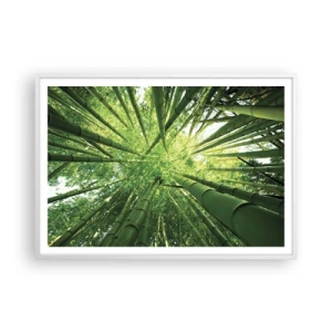 Affisch i vit ram - I en bambushage - 100x70 cm