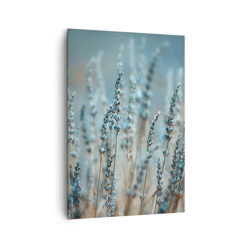 Canvastavla - Bild på duk - Doftande åkermark - 70x100 cm