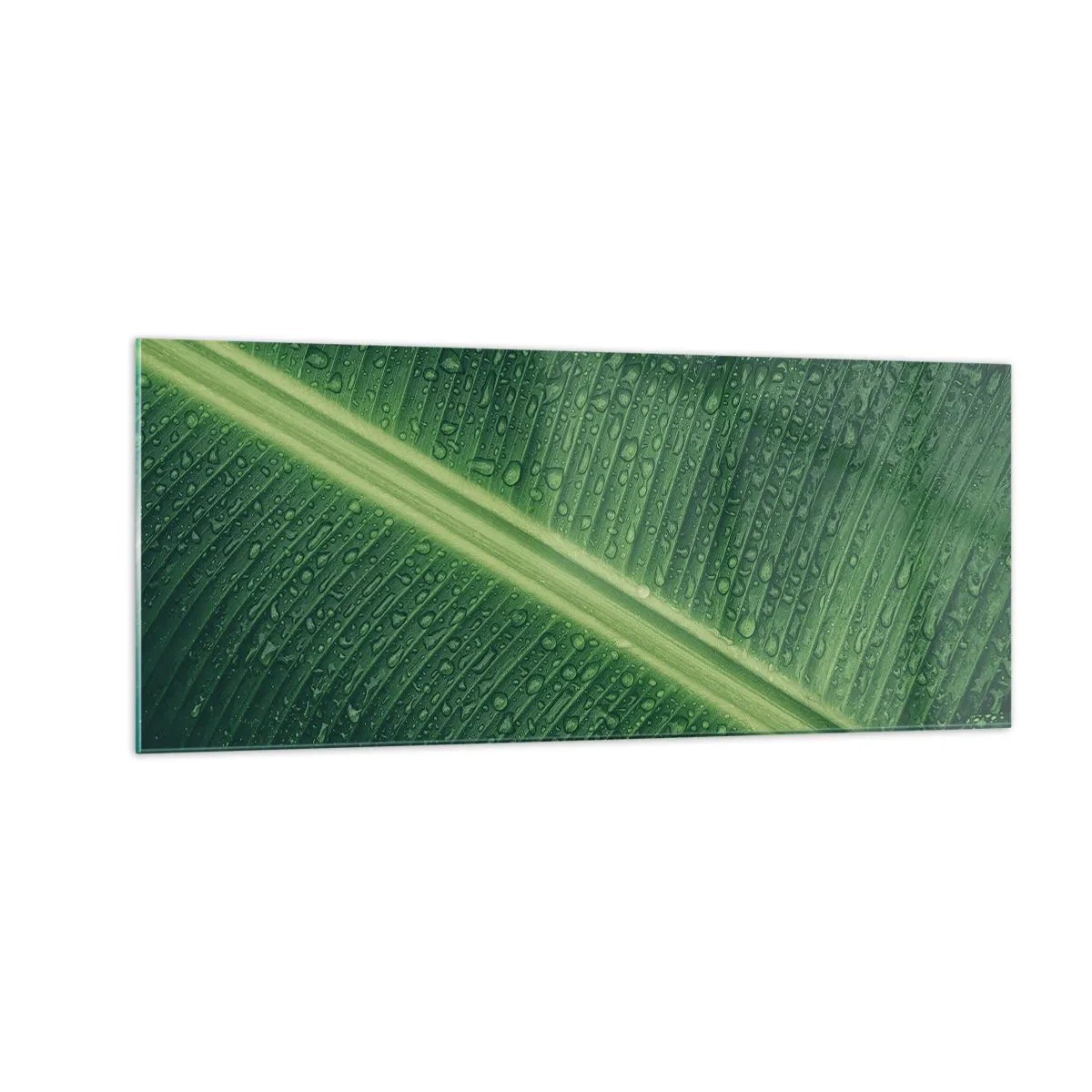 Glastavla - Bild på glas - Grönskans struktur - 100x40 cm