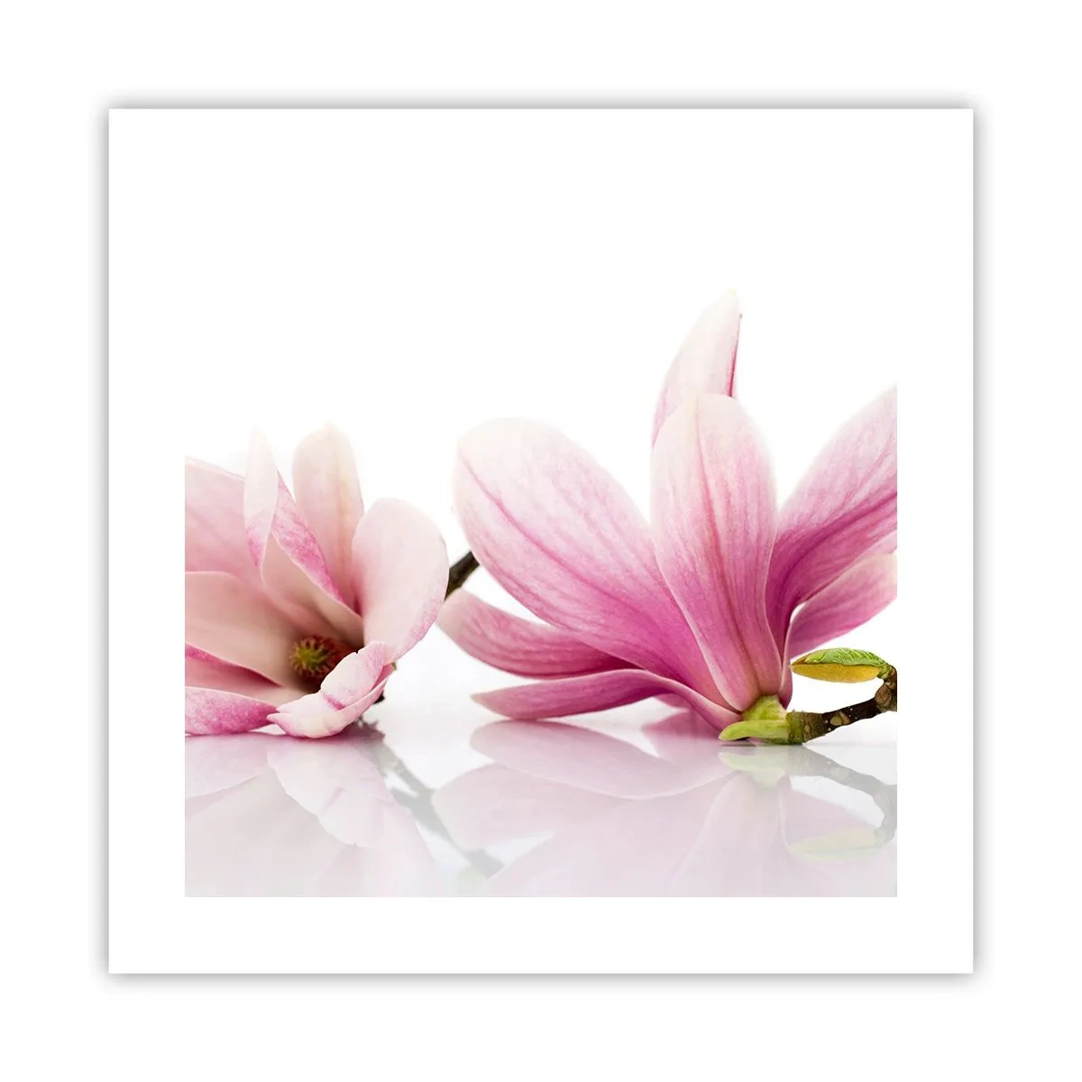 Affisch - Lätta som vårkänslan - 40x40 cm