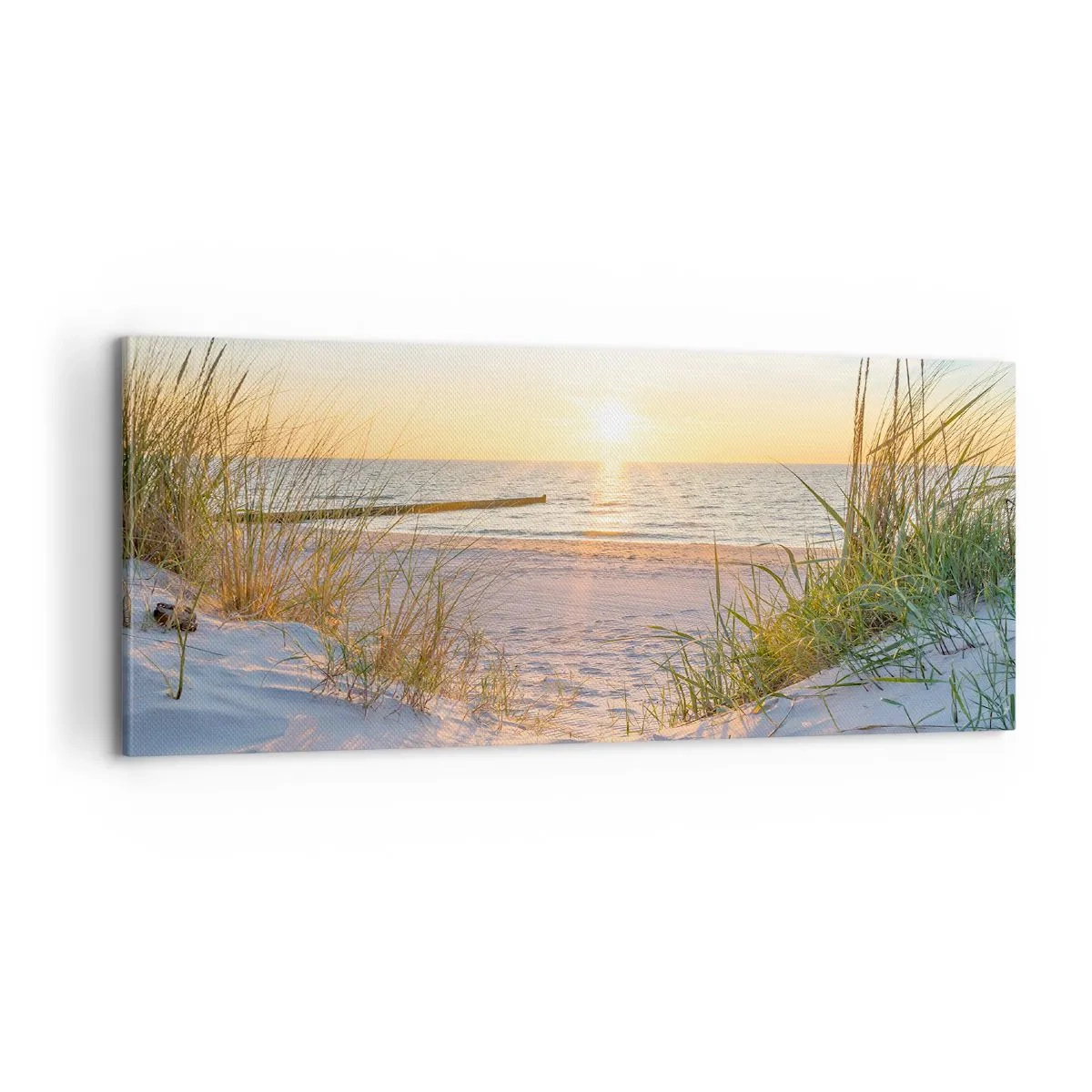 Canvastavla - Bild på duk - Havets brus, fågelsång, tom strand bland träden - 100x40 cm