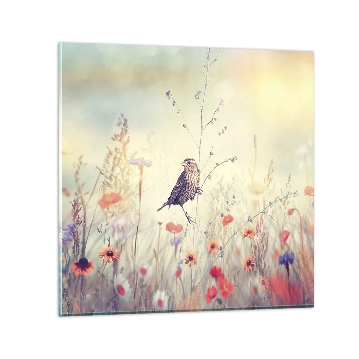 Glastavla - Bild på glas - Fågelporträtt med en äng i bakgrunden - 40x40 cm