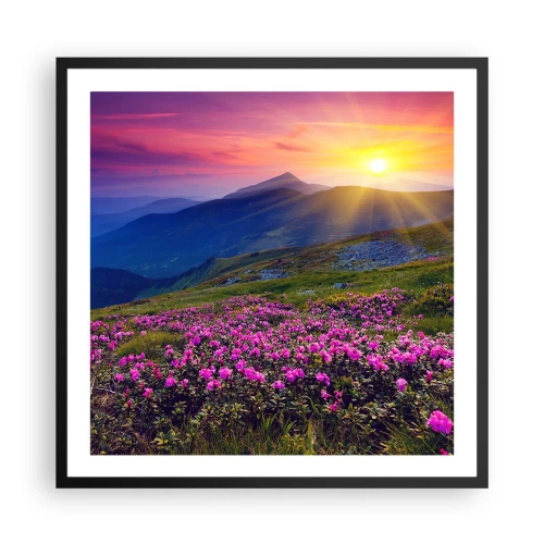 Affisch i svart ram - … Bergtallen doftar och örterna luktar runt omkring - 60x60 cm