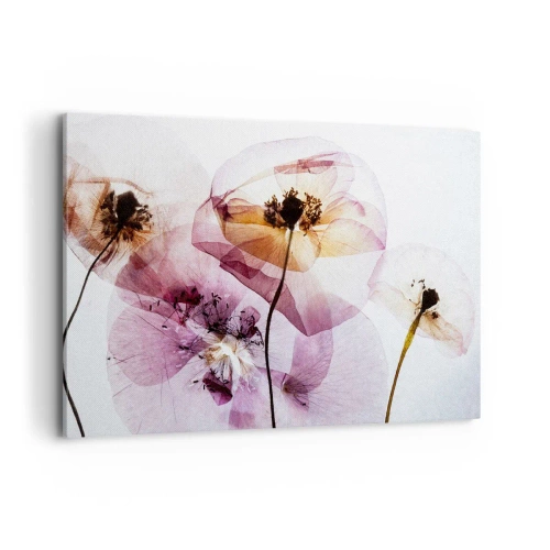 Canvastavla - Bild på duk - Blommornas transparenta kroppar - 120x80 cm