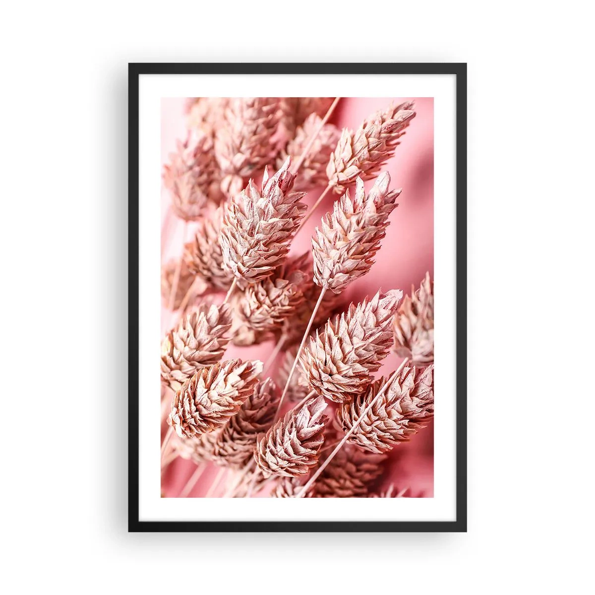 Affisch i svart ram - Närbild av torkade kornax på en rosa bakgrund - 50x70cm - Blomkaskad i rosa - Modern väggdekoration för vardagsrum och sovrum ARTTOR