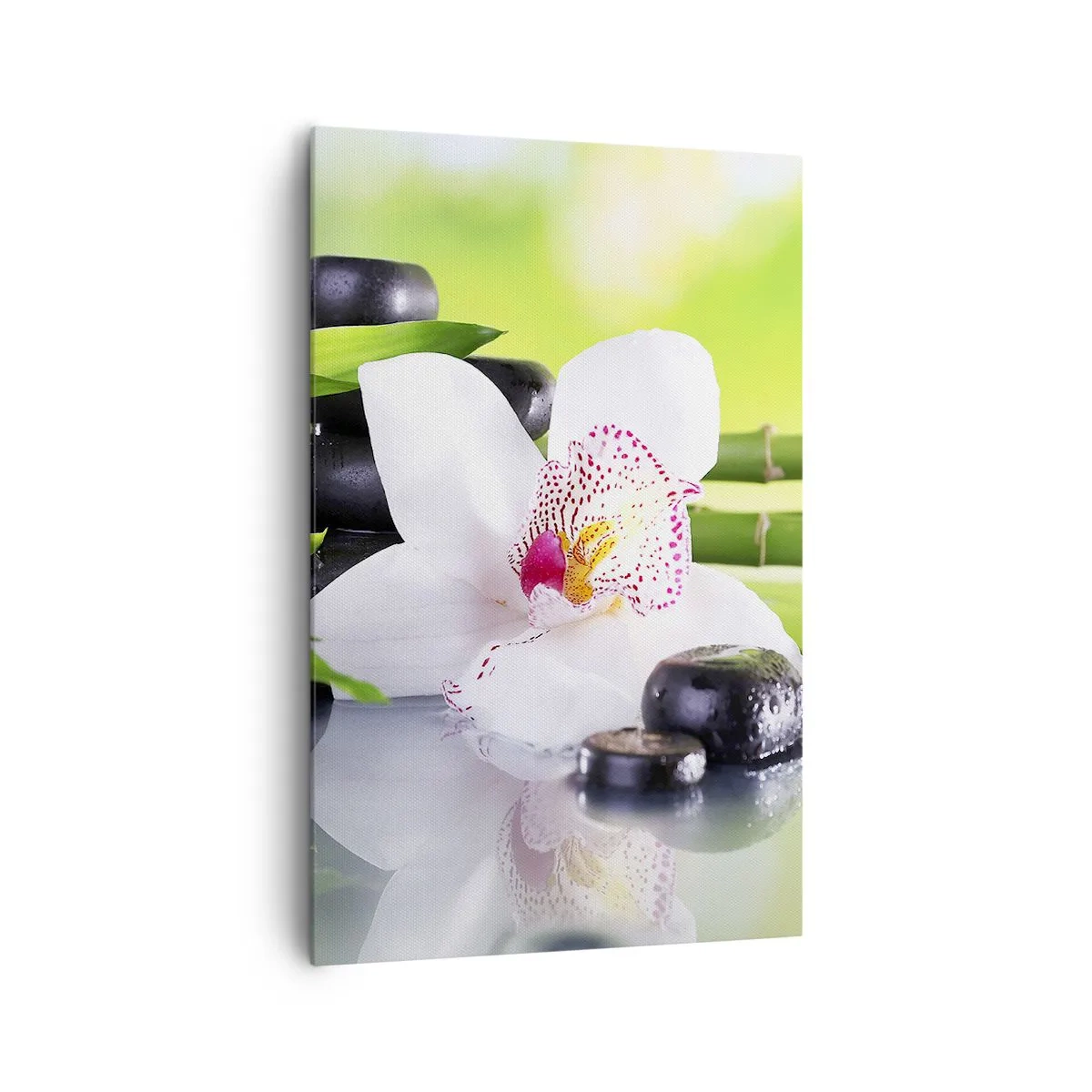 Canvastavla - Bild på duk - Sval fräschhet - 80x120 cm